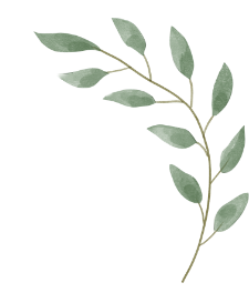 leaf image